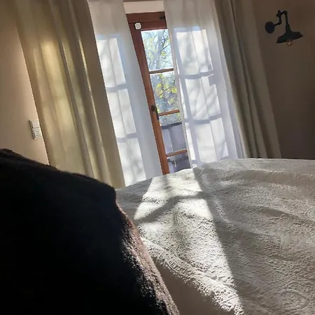 Meine Pleissenhaus Altenburg