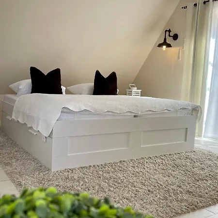 Meine Pleissenhaus * Altenburg