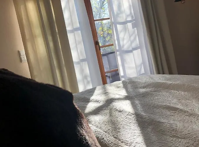 Meine Pleissenhaus Altenburg